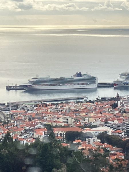 A large P&O cruise ship moored in port, seen from high above a town of red-roofed houses by the sea